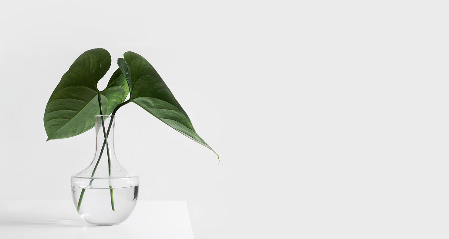 プロフィール背景画像