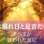 木漏れ日と足音だけ～すべてが洗われた夜に アイキャッチ画像