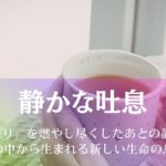 静かな吐息～「怒り」を燃やし尽くしたあとの静寂、灰の中から生まれる新しい生命の息吹 アイキャッチ画像