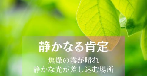静かなる肯定~焦燥の霧が晴れ静かな光が差し込む場所 アイキャッチ画像